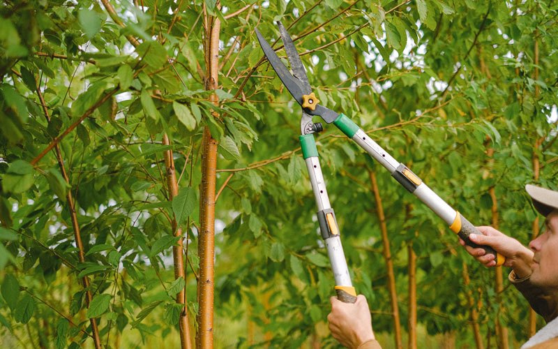 Tree trimming in Kewanna, IN